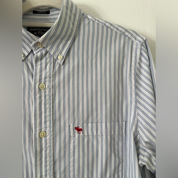 Abercrombie and Fitch blue and white striped shirt- Size Large - Picture 2 of 4